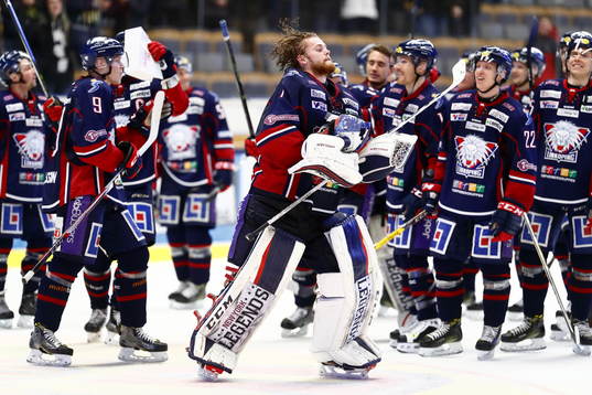 Linköpings spelare med målvakt Marcus Högberg jublar