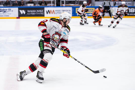 Malmö Redhawks Konstantin Komarek