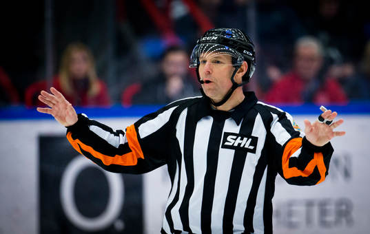 Domare Wolmer Edqvist