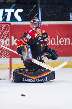 Djurgårdens målvakt Mikael Tellqvist