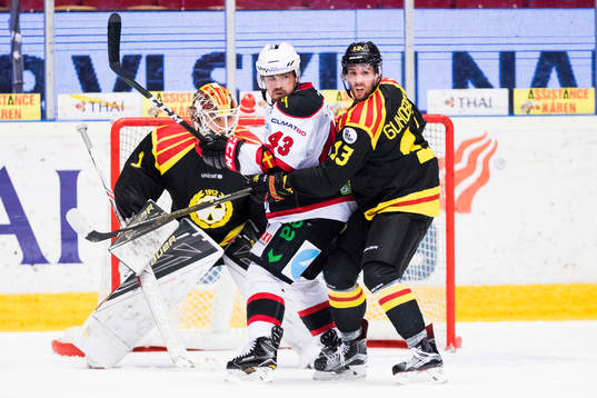 Malmö Redhawks Nichlas Hardt uppvaktas av Brynäs Ryan