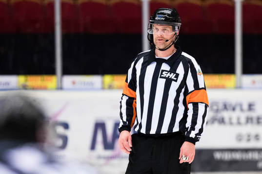 Domare Mikael Nord