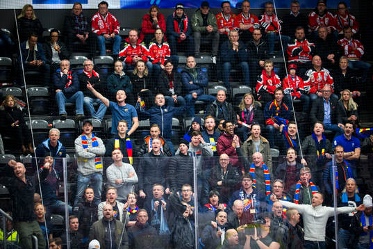 Djurgårdensfans står upp på sittplats