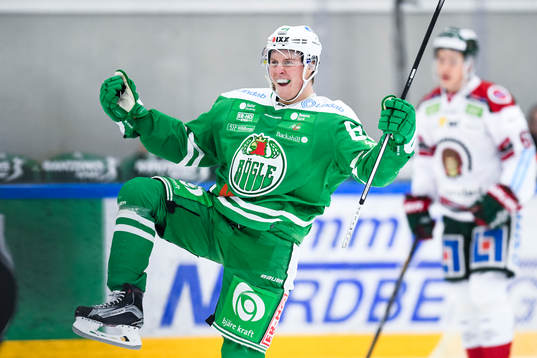 Rögles David Åslin jublar