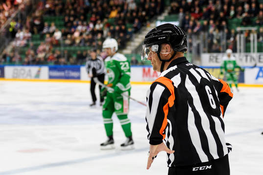 Domare Sören Persson