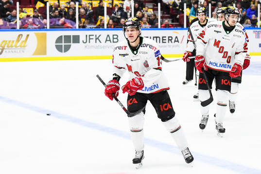 Modos David Rundqvist jublar