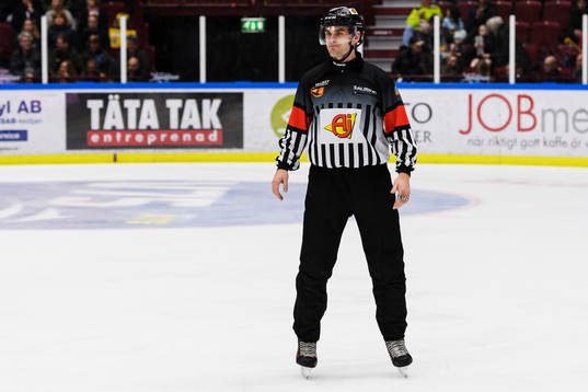 Domare Richard Magnusson
