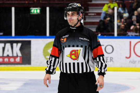 Domare Richard Magnusson