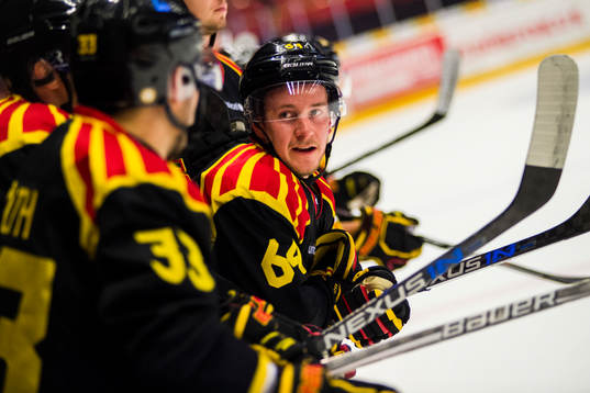 Brynäs Jonathan Pudas