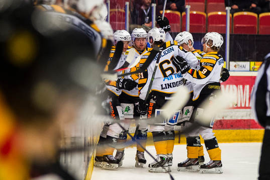 Skellefteås spelare jublar