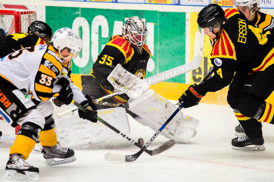 Brynäs målvakt David Rautio