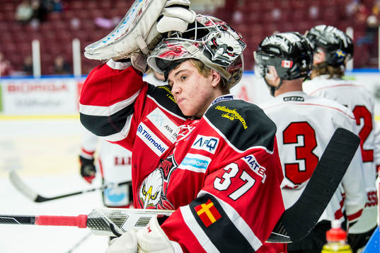 Malmö Redhawks målvakt Anton Malmborg  värmer upp innan