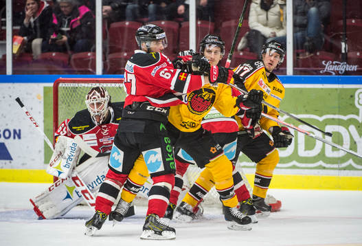 Malmö Redhawks Konstantin Komarek och målvakt Oscar