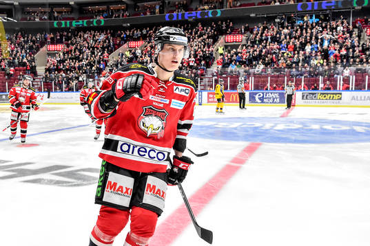 Malmö Redhawks Fredrik Händemark jublar