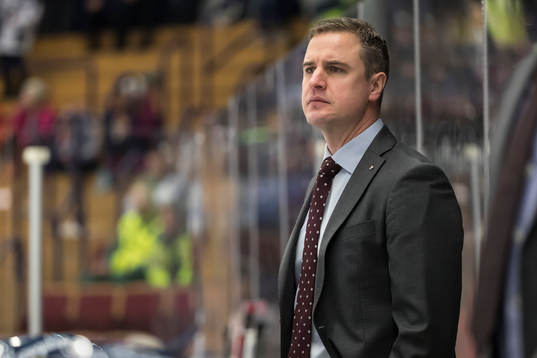 Linköpings tränare Dan Tagnes  i ishockeymatchen i SHL
