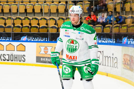 Rögles Ludvig Claesson