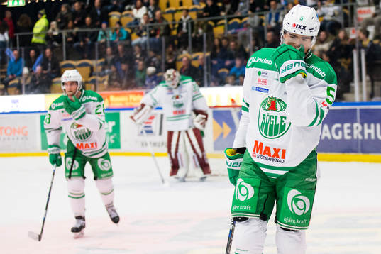 Rögles Alen Bibic