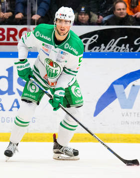 Rögles Alen Bibic