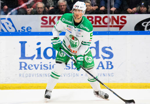 Rögles Alen Bibic