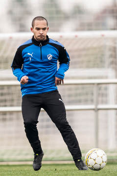 Nikolai Alho