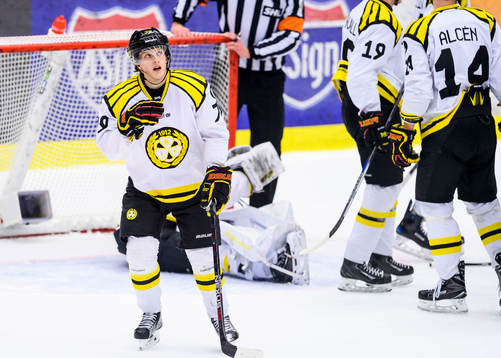 Brynäs Daniel Mannberg deppar