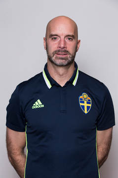 Domaren Stefan Johannesson