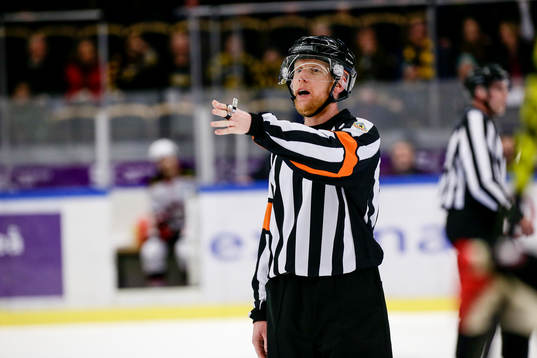 Domare Mikael Holm