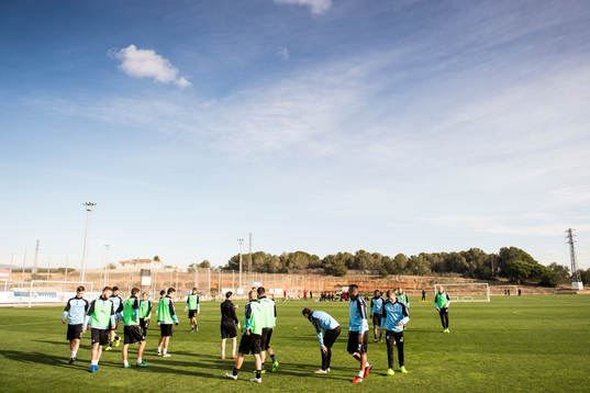 Malmö FFs spelare