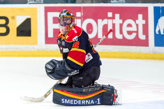 Djurgårdens målvakt Mikael Tellqvist