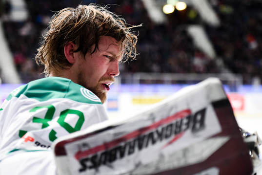Bläddra bland fler bilder av Ishockey, SHL, Djurgården - Rögle