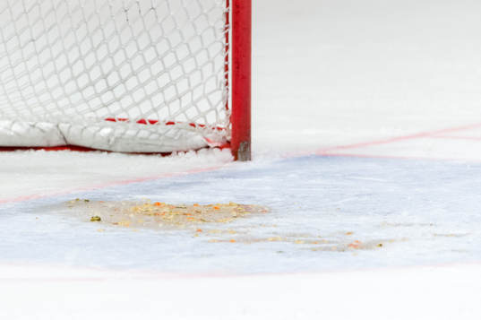 Rögles målvakt målvakt Anders Lindbäck fick lämna isen