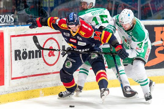 Djurgårdens Daniel Brodin