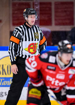 Domare Mikael Hedberg