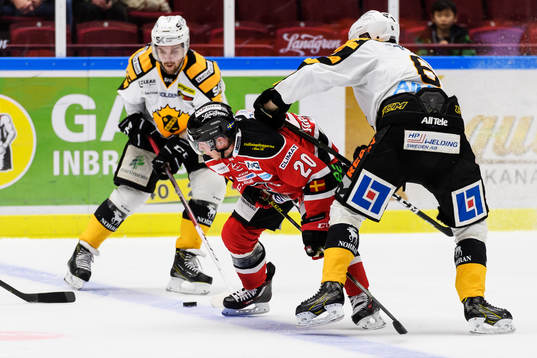 Malmö Redhawks Erik Forssell