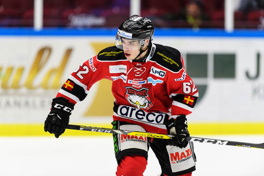 Malmö Redhawks Lukas Haudum