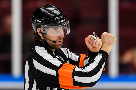 Domare Mikael Sjöqvist