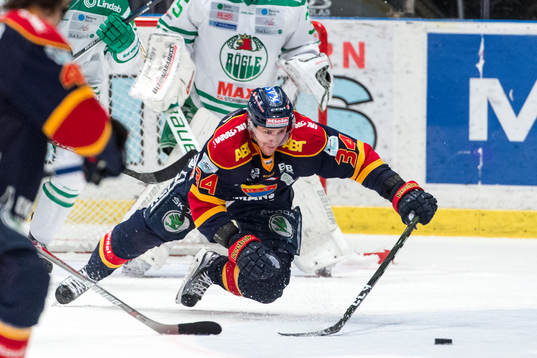 Djurgårdens Daniel Brodin
