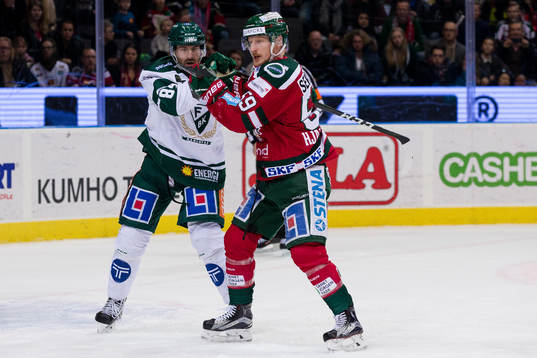 Färjestads Tomas Skogs