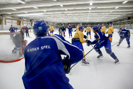 Sveriges Alexander Johansson med pucken
