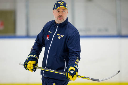 Sveriges förbundskapten Rikard Grönborg