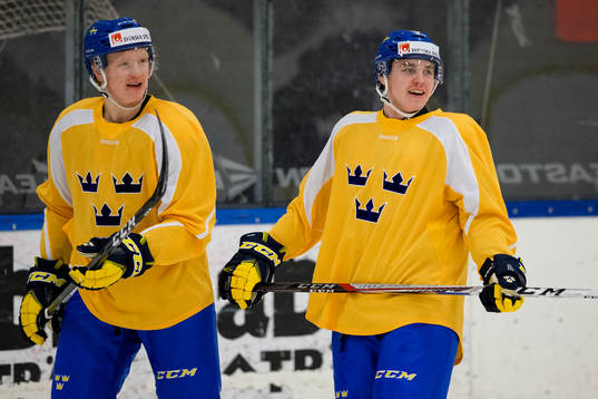Sveriges Emil Johansson och Sebastian Aho