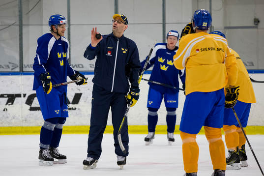Sveriges assisterande tränare Peter Popovic