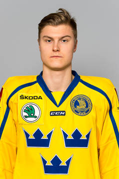 Sveriges Fredrik Händemark