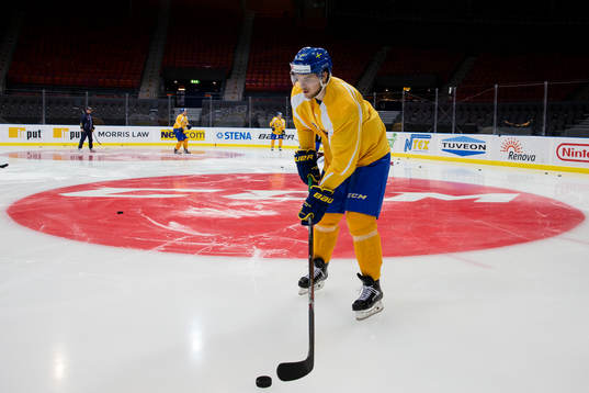 Sveriges Henrik Tömmernes