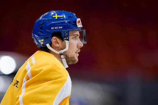 Sveriges Henrik Tömmernes