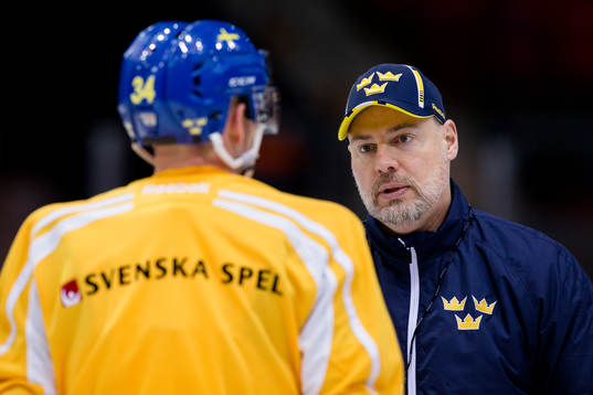 Sveriges förbundskapten Rikard Grönborg pratar med Daniel