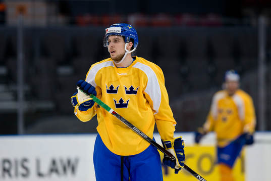 Sveriges Henrik Tömmernes