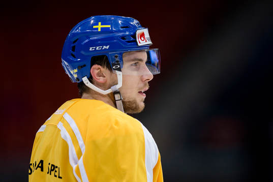 Sveriges Henrik Tömmernes