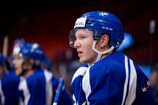 Sveriges Andreas Borgman