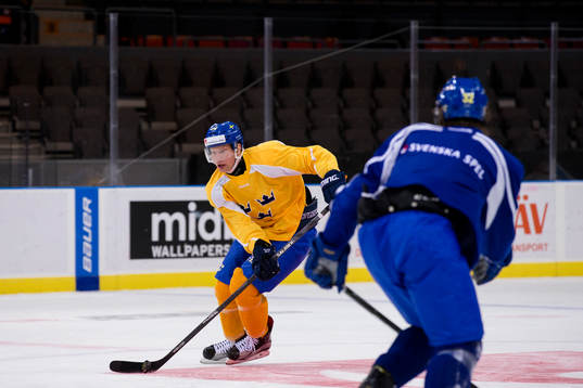 Sveriges Richard Gynge